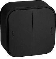 Переключатель накладной Legrand Quteo 2-кл. проходной черный картинка